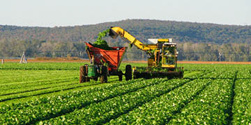 Agroalimentos y Manufactura